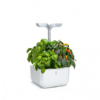 POTAGER VERITABLE® EXKY SMART