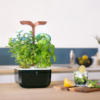 POTAGER VERITABLE® EXKY SMART – Image 2