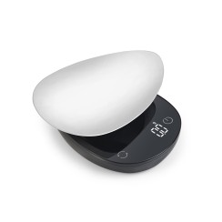 BALANCE DE PRECISION CRISTEL